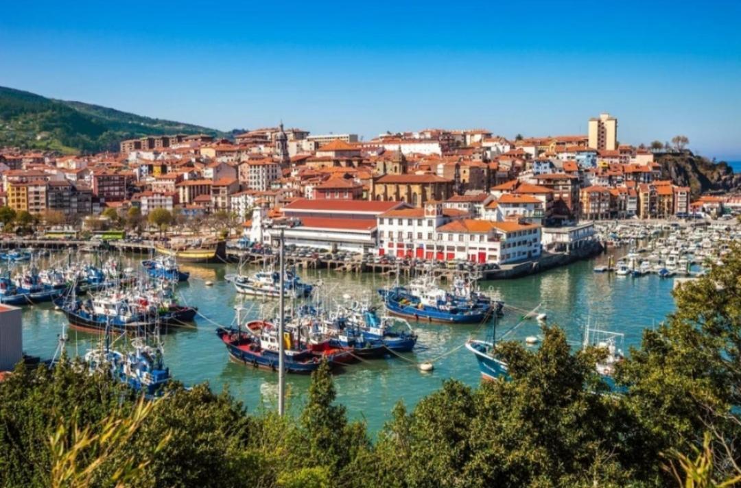 Txiki Daire Bermeo Dış mekan fotoğraf
